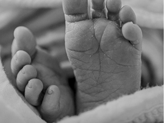 Family & more by Small Towns Little Feet, Nelson County KY photographer